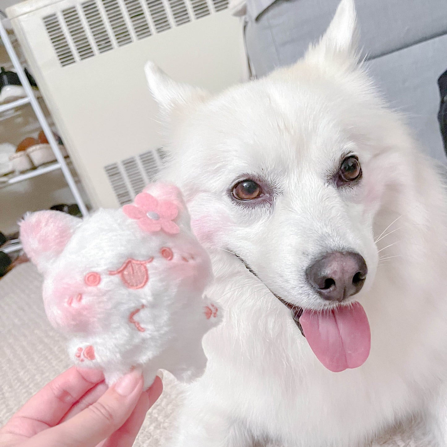 Doozi Keychain Plush