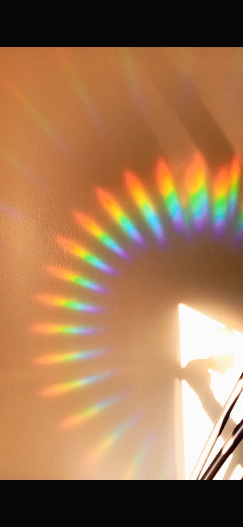 Dreamy Suncatcher Sticker